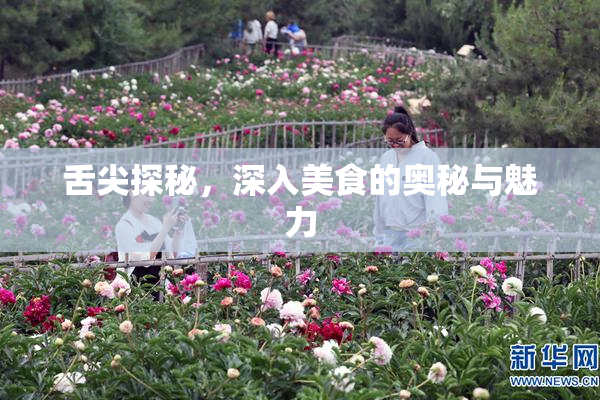 舌尖探秘，深入美食的奥秘与魅力