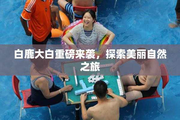 白鹿大白重磅来袭，探索美丽自然之旅