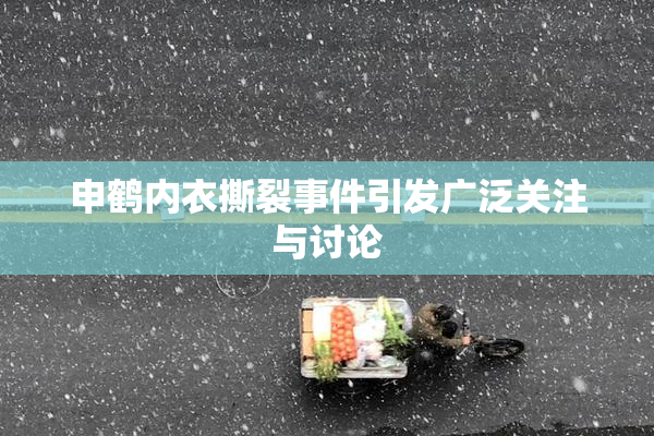申鹤内衣撕裂事件引发广泛关注与讨论