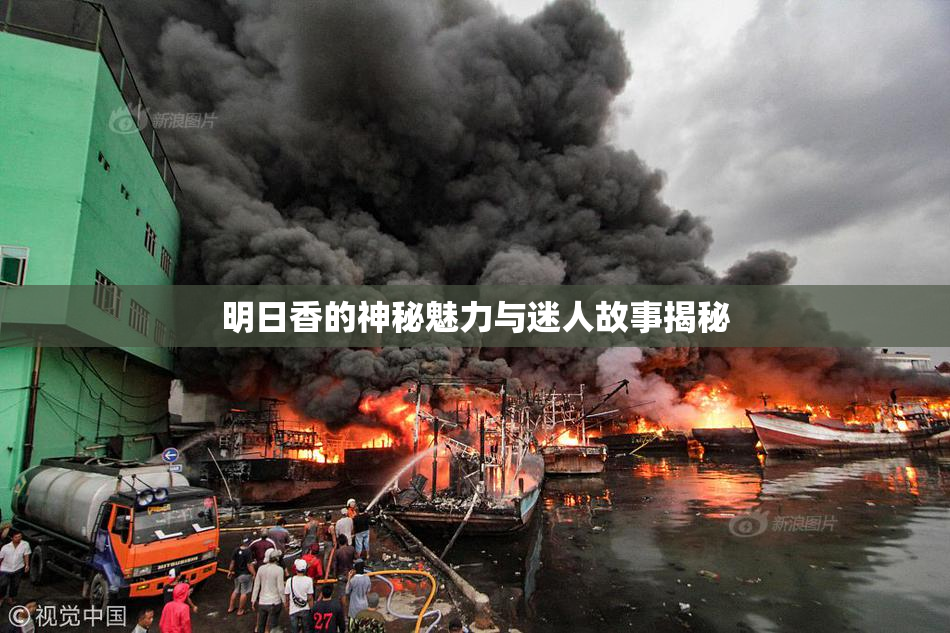 明日香的神秘魅力与迷人故事揭秘