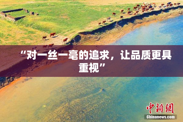 “对一丝一毫的追求，让品质更具重视”