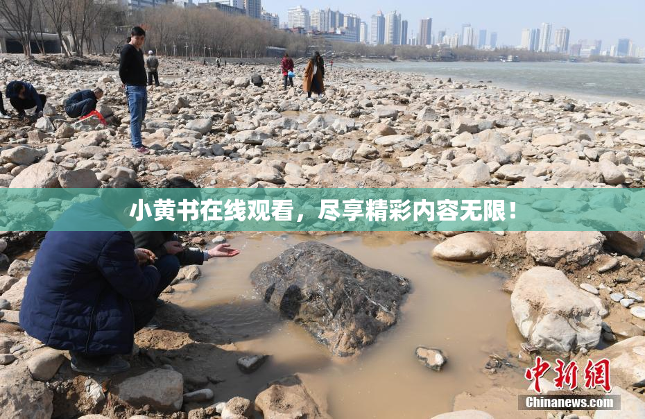小黄书在线观看，尽享精彩内容无限！
