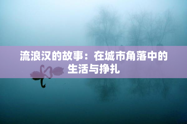 流浪汉的故事：在城市角落中的生活与挣扎