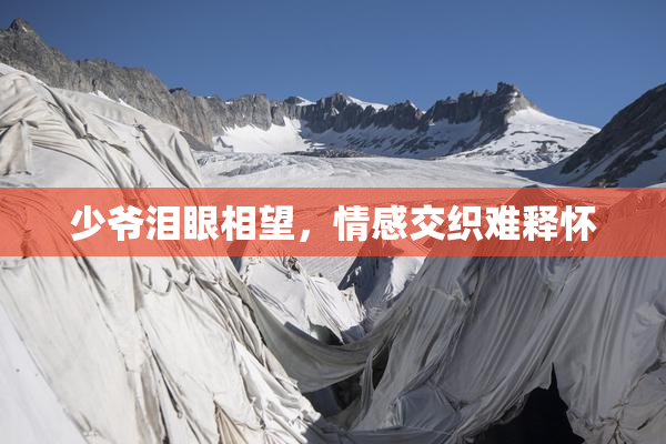 少爷泪眼相望，情感交织难释怀