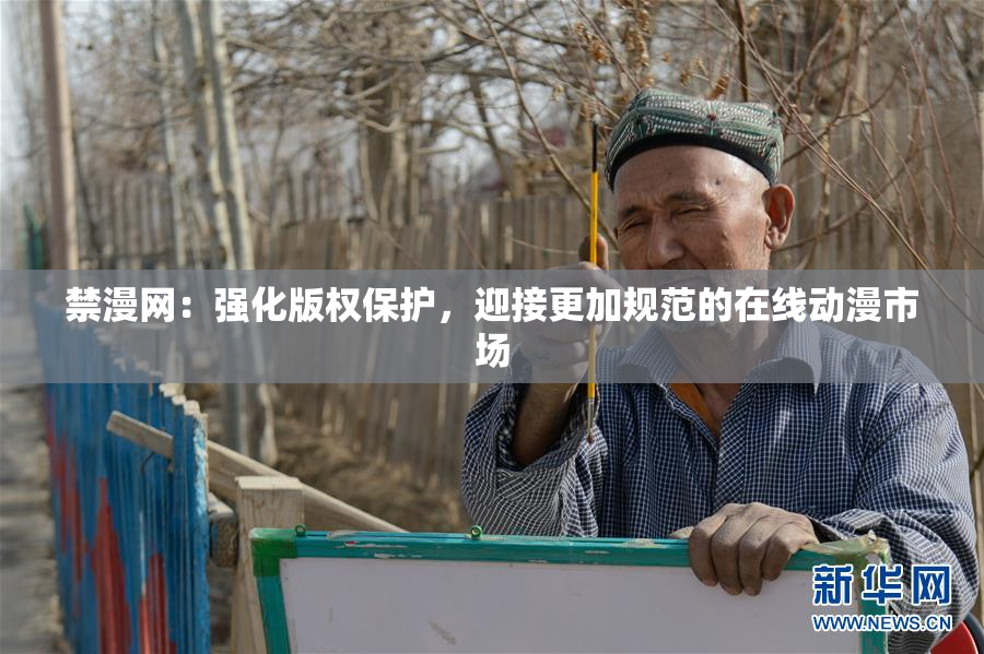 禁漫网：强化版权保护，迎接更加规范的在线动漫市场