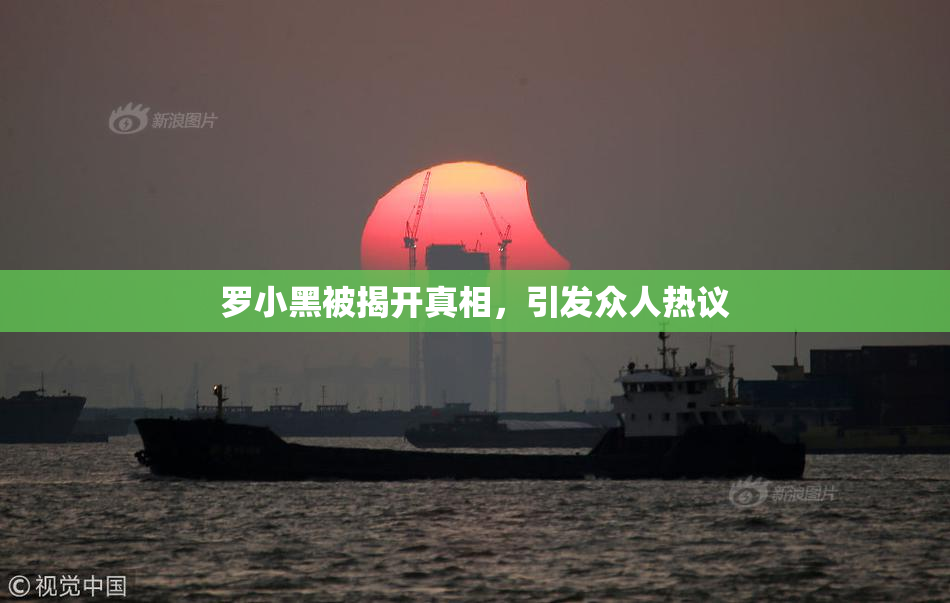 罗小黑被揭开真相，引发众人热议