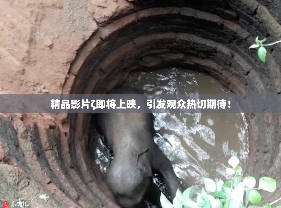 精品影片ζ即将上映，引发观众热切期待！