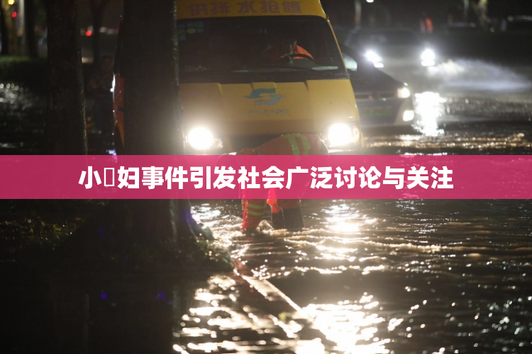 小婬妇事件引发社会广泛讨论与关注