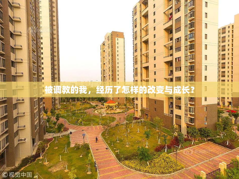 被调教的我，经历了怎样的改变与成长？