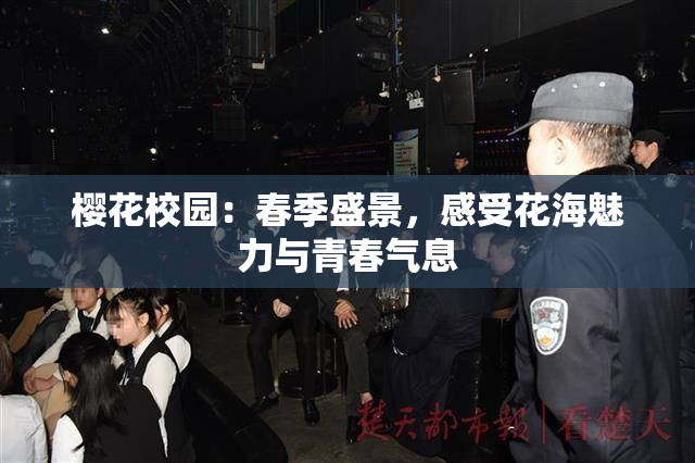 樱花校园：春季盛景，感受花海魅力与青春气息