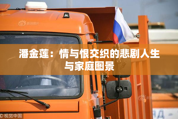 潘金莲：情与恨交织的悲剧人生与家庭图景