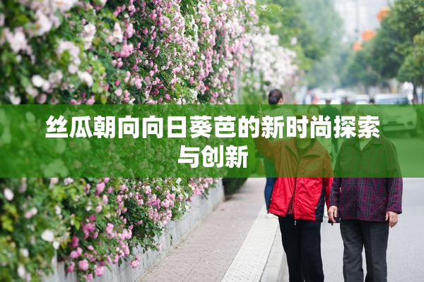丝瓜朝向向日葵芭的新时尚探索与创新