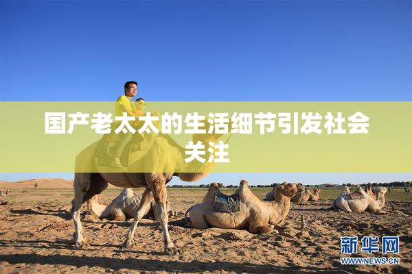 国产老太太的生活细节引发社会关注
