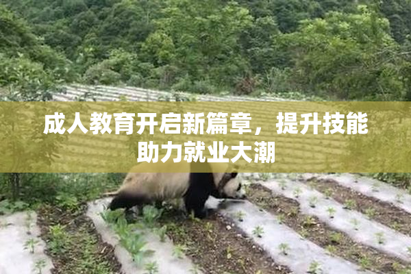 成人教育开启新篇章，提升技能助力就业大潮