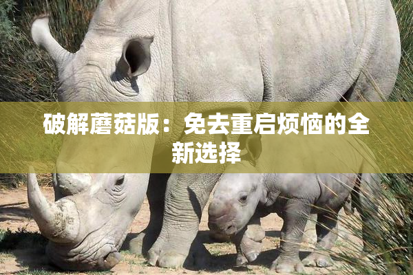 破解蘑菇版：免去重启烦恼的全新选择