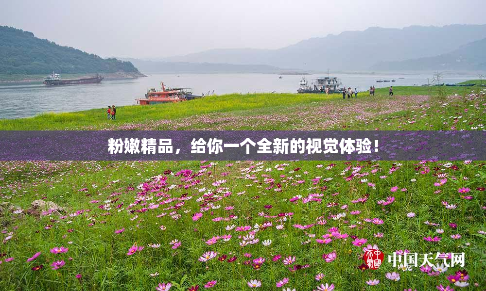 粉嫩精品，给你一个全新的视觉体验！