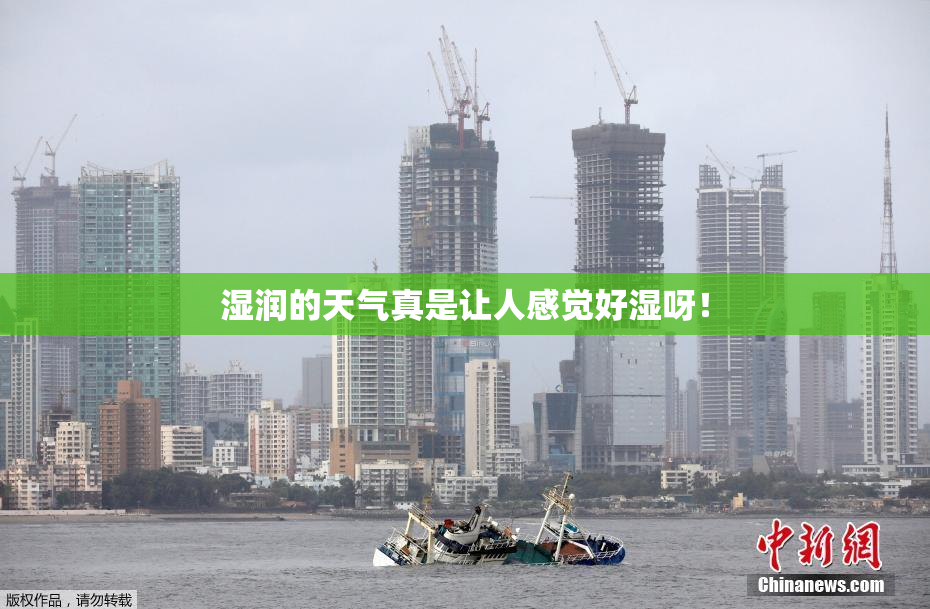 湿润的天气真是让人感觉好湿呀！