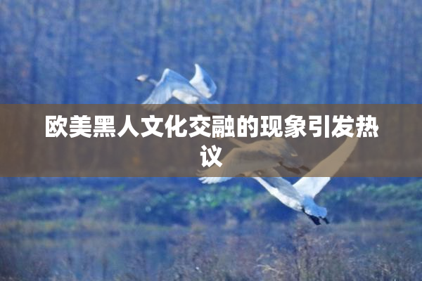 欧美黑人文化交融的现象引发热议