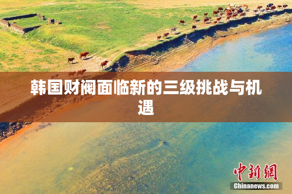 韩国财阀面临新的三级挑战与机遇