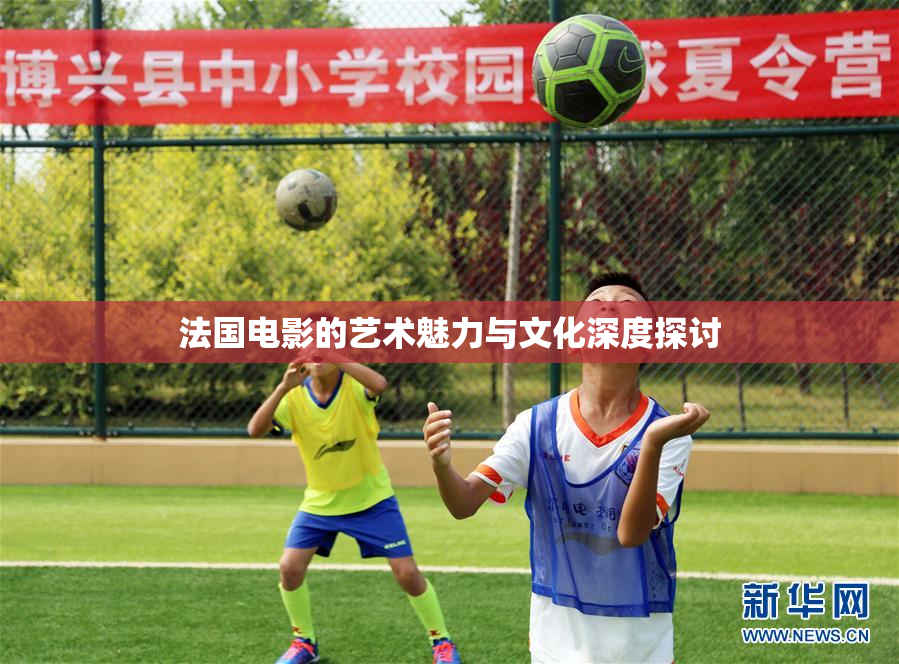 法国电影的艺术魅力与文化深度探讨