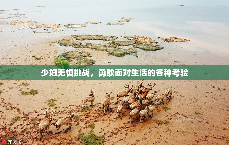 少妇无惧挑战，勇敢面对生活的各种考验