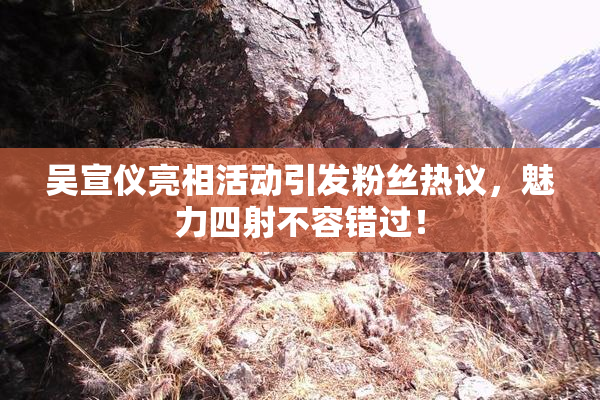 吴宣仪亮相活动引发粉丝热议，魅力四射不容错过！