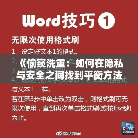 《偷窥洗重：如何在隐私与安全之间找到平衡方法》