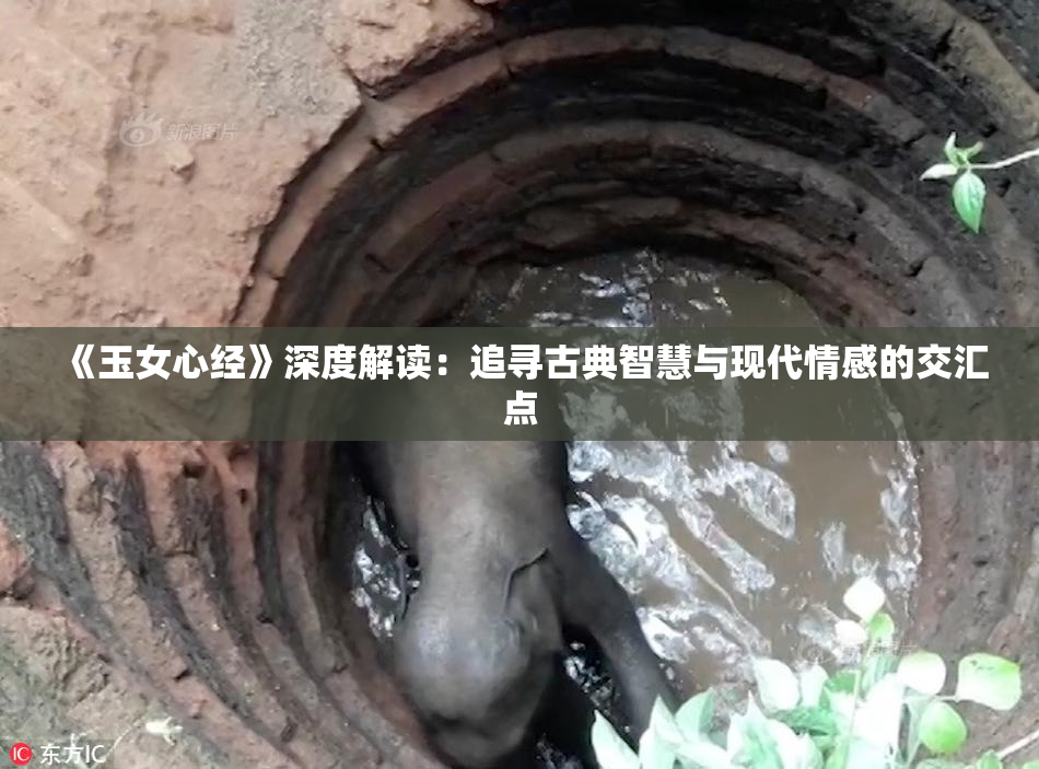 《玉女心经》深度解读：追寻古典智慧与现代情感的交汇点