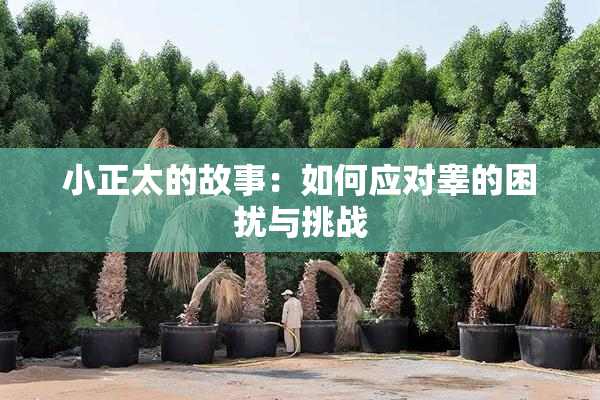小正太的故事：如何应对睾的困扰与挑战