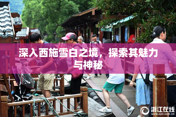 深入西施雪白之境，探索其魅力与神秘