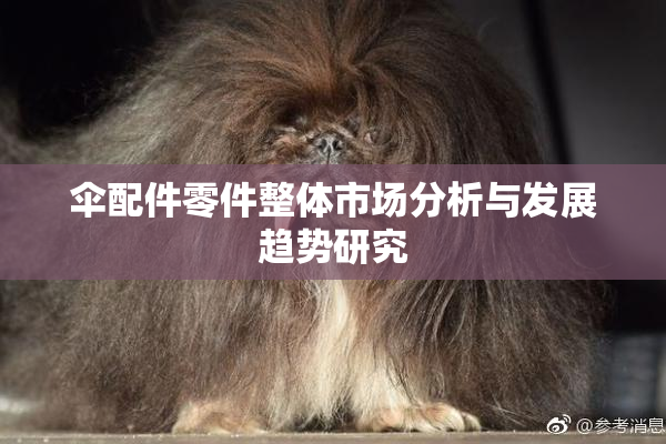 伞配件零件整体市场分析与发展趋势研究