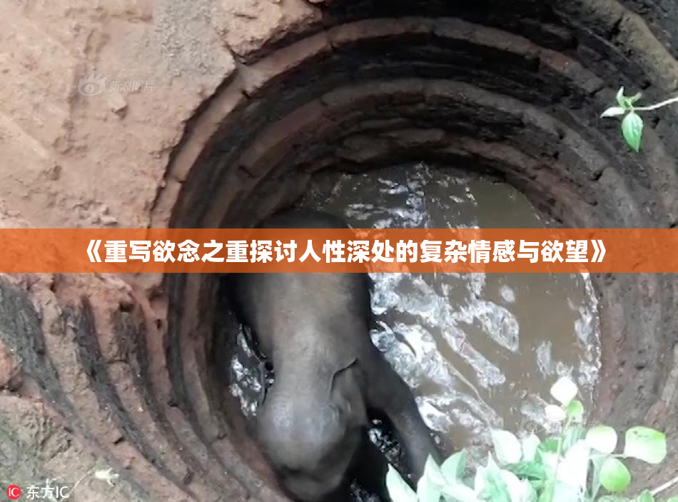 《重写欲念之重探讨人性深处的复杂情感与欲望》