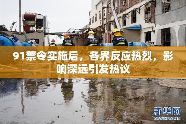 91禁令实施后，各界反应热烈，影响深远引发热议