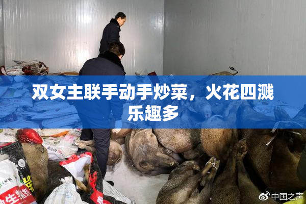 双女主联手动手炒菜，火花四溅乐趣多