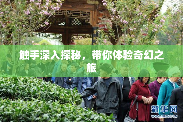 触手深入探秘，带你体验奇幻之旅