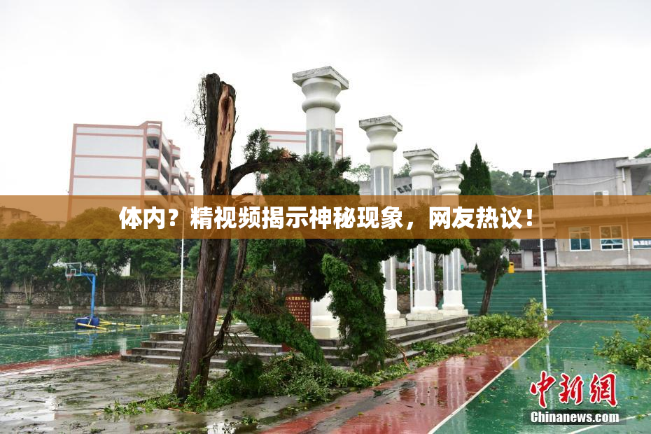 体内？精视频揭示神秘现象，网友热议！