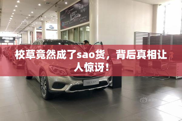校草竟然成了sao货，背后真相让人惊讶！