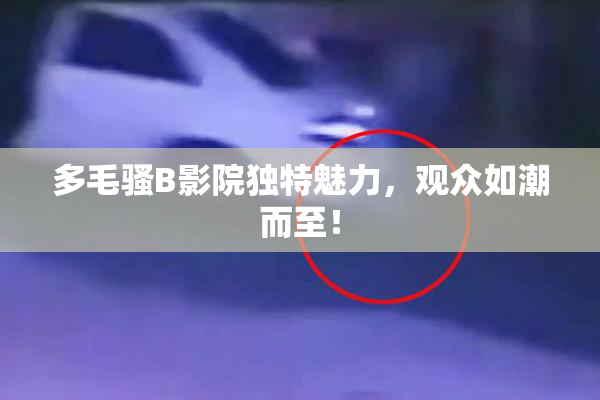 多毛骚B影院独特魅力，观众如潮而至！