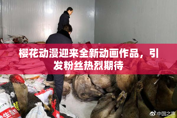 樱花动漫迎来全新动画作品，引发粉丝热烈期待