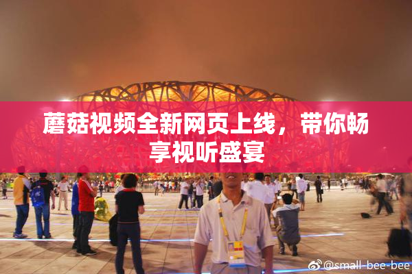 蘑菇视频全新网页上线，带你畅享视听盛宴