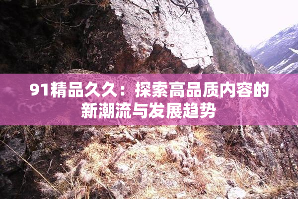 91精品久久：探索高品质内容的新潮流与发展趋势