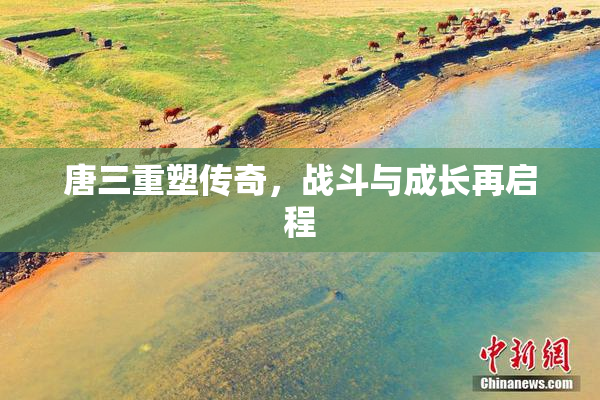 唐三重塑传奇，战斗与成长再启程