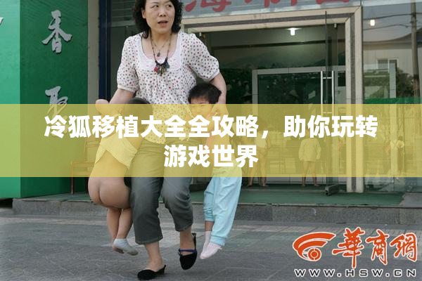 冷狐移植大全全攻略，助你玩转游戏世界