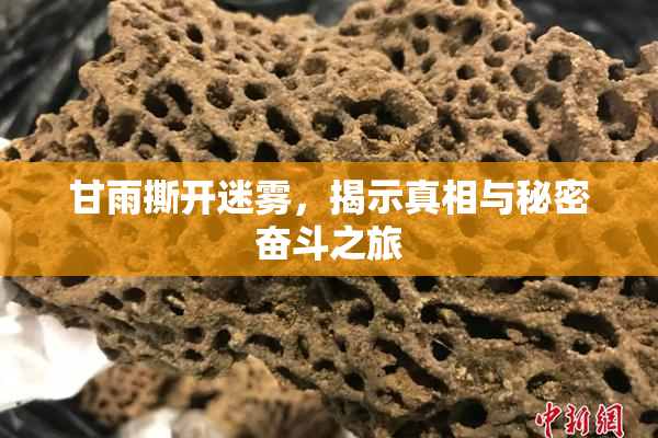 甘雨撕开迷雾，揭示真相与秘密奋斗之旅