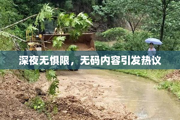 深夜无惧限，无码内容引发热议