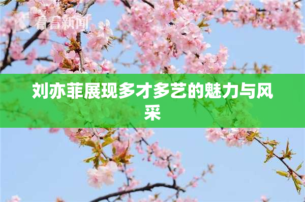 刘亦菲展现多才多艺的魅力与风采