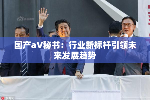 国产aV秘书：行业新标杆引领未来发展趋势