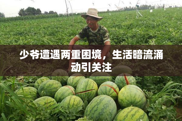 少爷遭遇两重困境，生活暗流涌动引关注