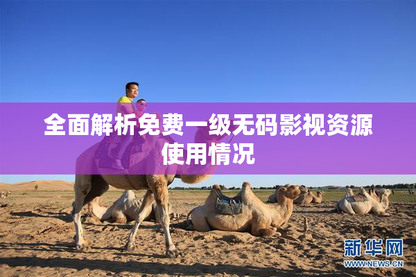 全面解析免费一级无码影视资源使用情况