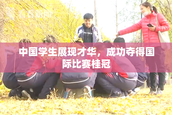 中国学生展现才华，成功夺得国际比赛桂冠